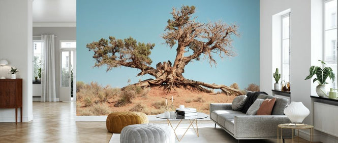 PHOTOWALL / Desert Tree (e334129)