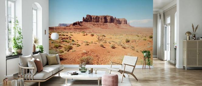 PHOTOWALL / Monument Valley (e334151)