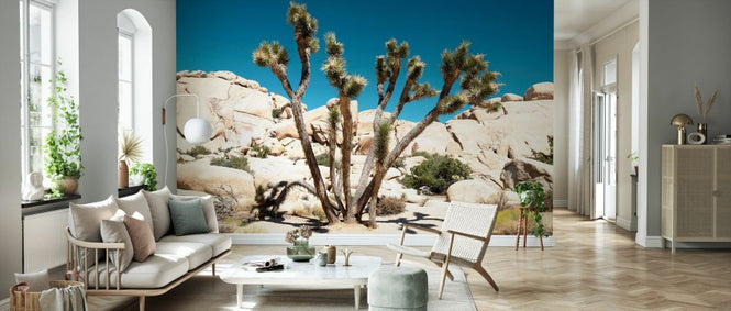 PHOTOWALL / The Joshua Tree (e334286)