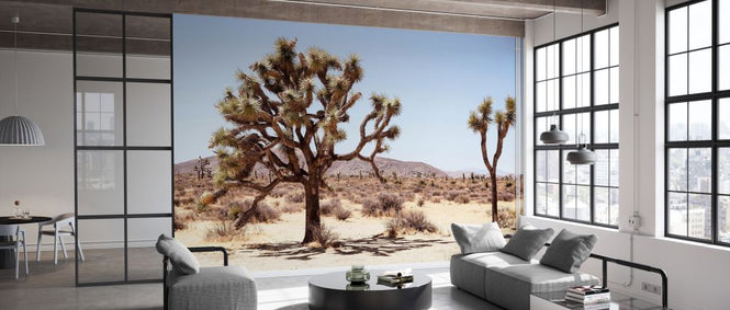PHOTOWALL / Colorado Desert (e334317)