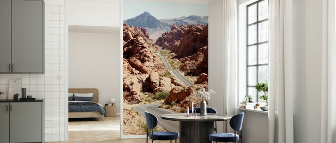 PHOTOWALL / Valley of Fire Road (e334343)