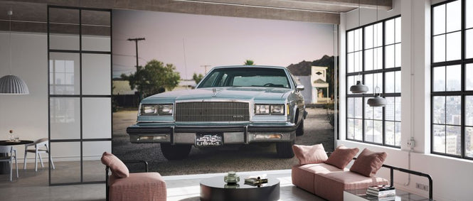 PHOTOWALL / US Buick (e334365)