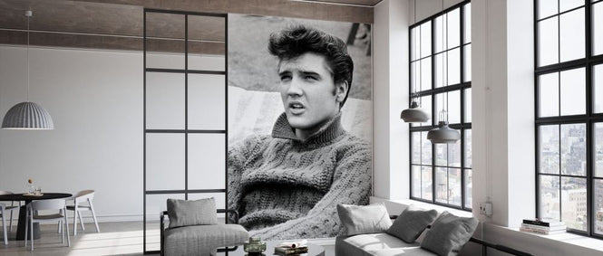 PHOTOWALL / Jailhouse Rock - Elvis Presley (e334506)