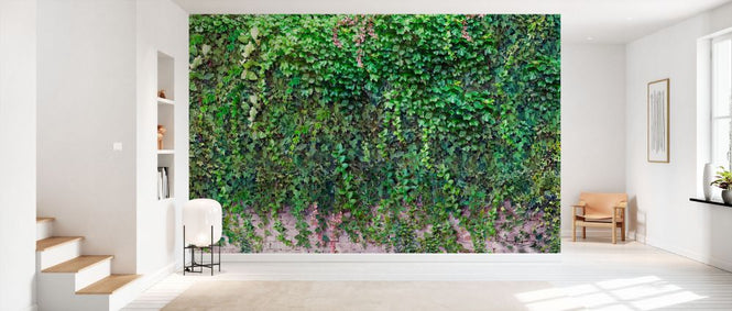 PHOTOWALL / Overgrown Brick Wall (e334581)