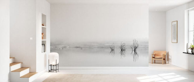 PHOTOWALL / Reflejos En La Niebla (e335647)