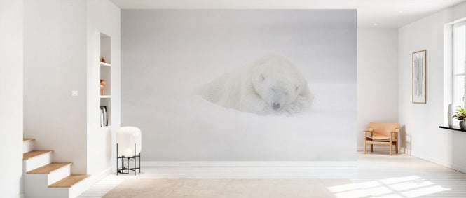 PHOTOWALL / Frozen Dreams (e335693)