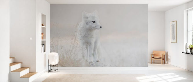 PHOTOWALL / Looking Around (e335695)