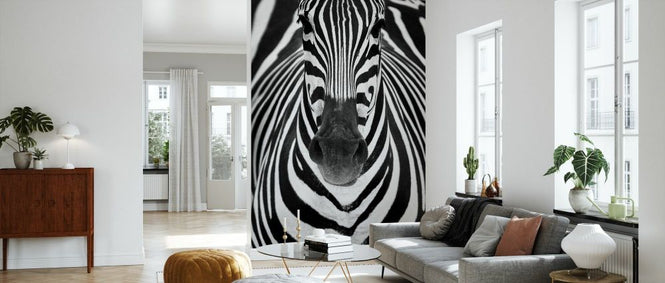 PHOTOWALL / Zebra (e336049)