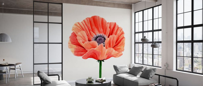 PHOTOWALL / Magnified Poppy II (e336550)