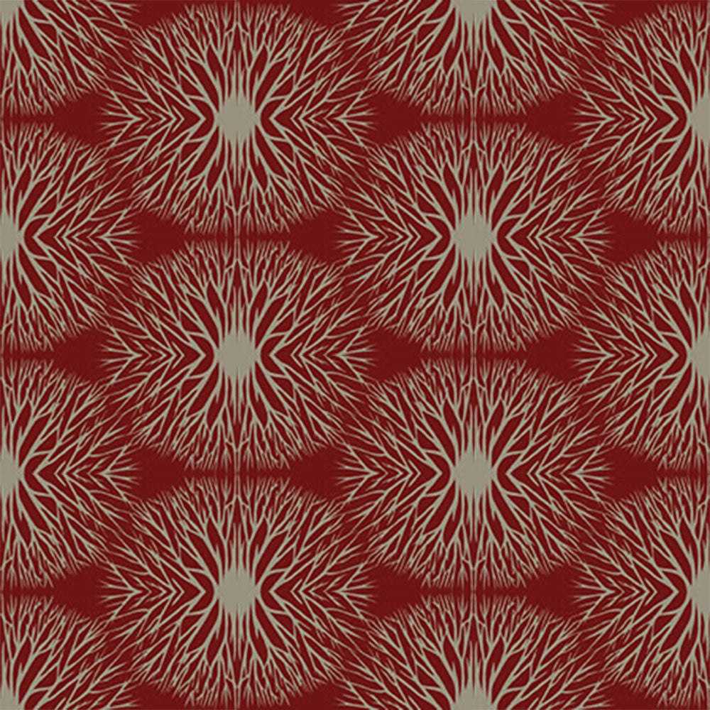 Zoom