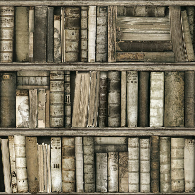 【OUTLET】KOZIEL / BIBLIOTHEQUE ANTIQUE (本棚) 8888-561