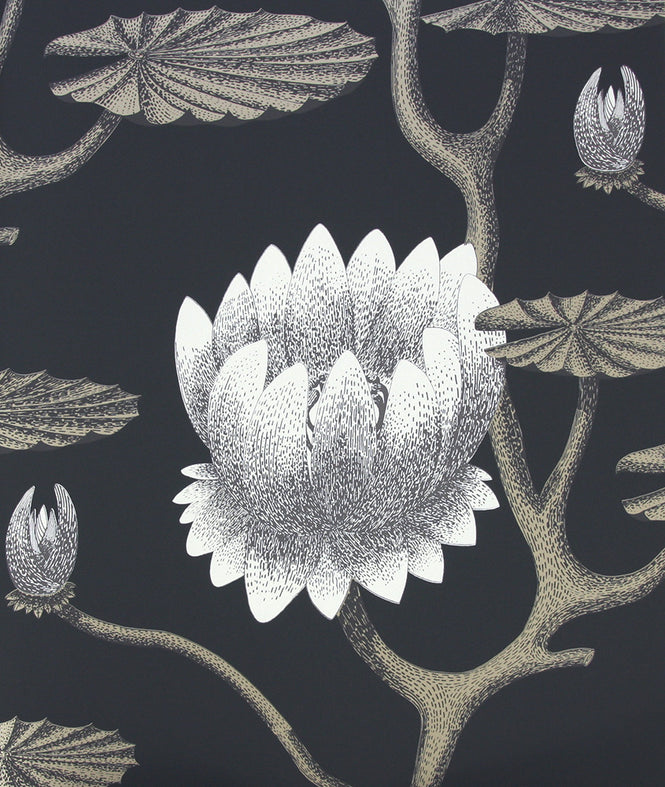 Cole&Son / CONTEMPORARY RESTYLED / Summer Lily Wide width 95/4026