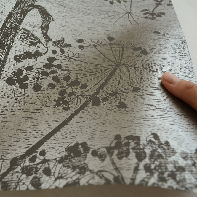 Cole&Son / CONTEMPORARY RESTYLED / Cow Parsley 95/9050