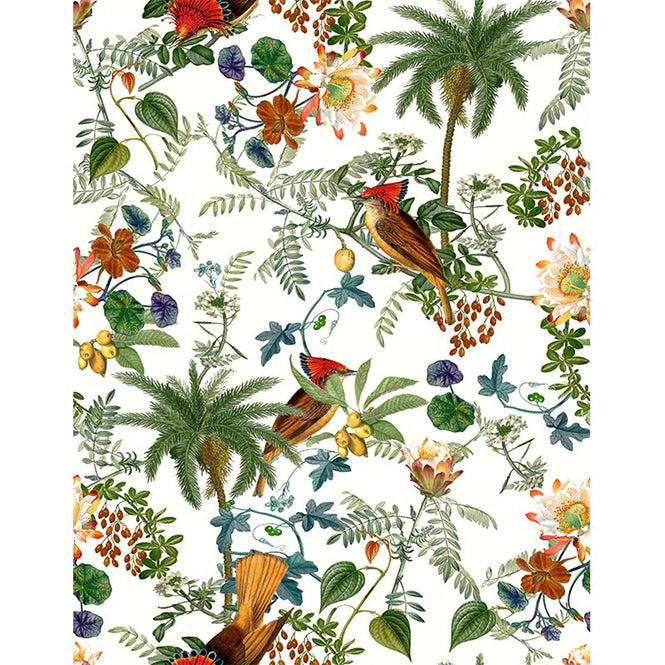 Vilber / BIRDS / BIRDS 1793 W-01