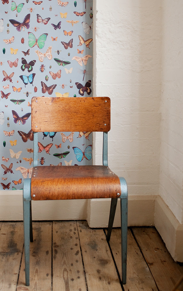 Ella Doran / Bugs and Butterflies