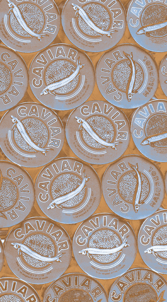 Malz & Malz Interieur / Caviar(S)/Orange Blue