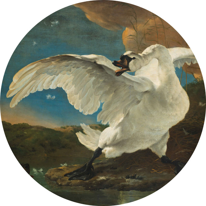 輸入壁紙 KEK Amsterdam / FLORA & FAUNA / WALLPAPER CIRCLES THREATENED SWANN CK-004