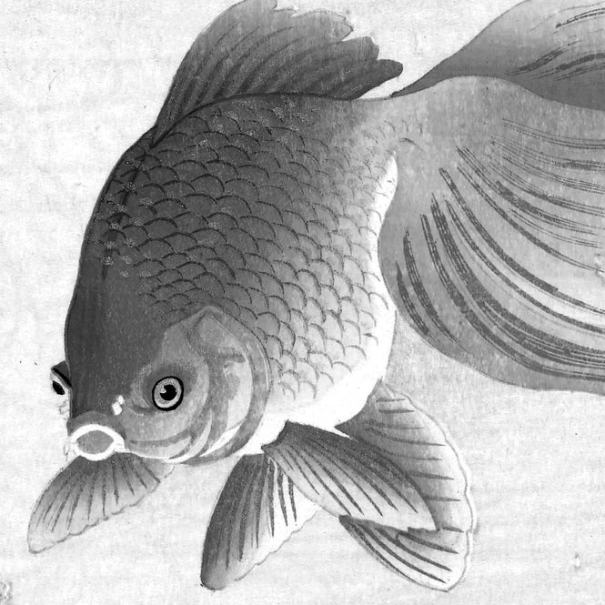 輸入壁紙 KEK Amsterdam / FLORA & FAUNA / WALLPAPER CIRCLES GOLDFISH CK-005