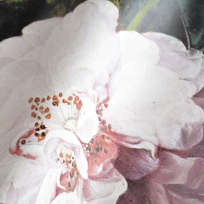 輸入壁紙 KEK Amsterdam / FLORA & FAUNA / WALLPAPER CIRCLES GOLDEN AGE FLOWERS CK-012
