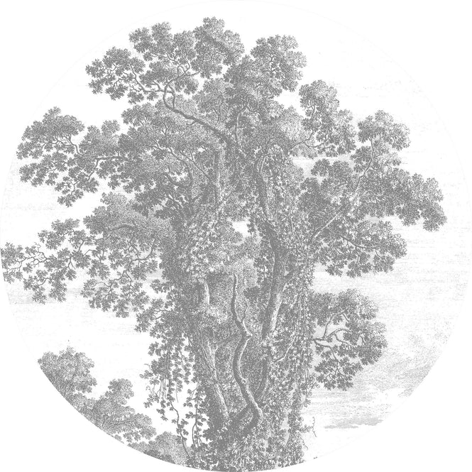 輸入壁紙 KEK Amsterdam / WALLPAPER 2020 / WALLPAPER CIRCLES ENGRAVED TREE CK-013