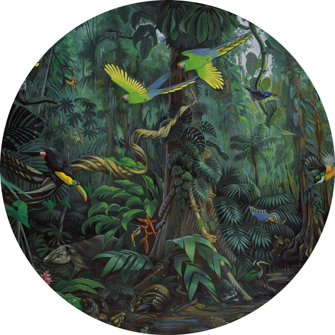 輸入壁紙 KEK Amsterdam / KIDS / WALLPAPER CIRCLES TROPICAL LANDSCAPE CK-022