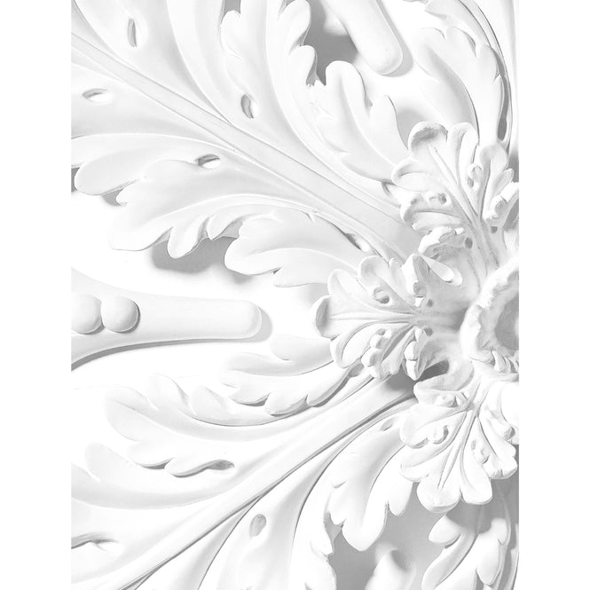 輸入壁紙 KEK Amsterdam / LANDSCAPES & MARBLE / WALLPAPER CIRCLES ORNAMENTS CK-077
