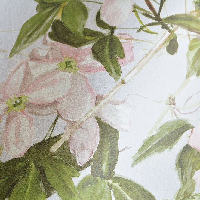 Sian Zeng / Clematis Mural Wallpaper / Dusty Blue ClemB 【3パネル1セット】
