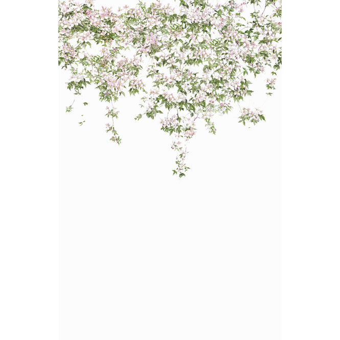 【予約受付】Sian Zeng / Clematis Mural Wallpaper / White ClemW 【3パネル1セット】