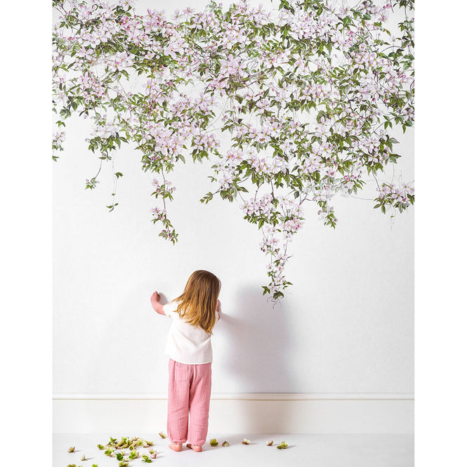 【予約受付】Sian Zeng / Clematis Mural Wallpaper / White ClemW 【3パネル1セット】