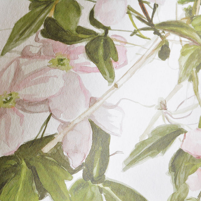 【予約受付】Sian Zeng / Clematis Mural Wallpaper / White ClemW 【3パネル1セット】