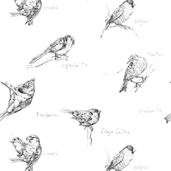 Elli Popp / Crested Tit / ECP104-01 matt