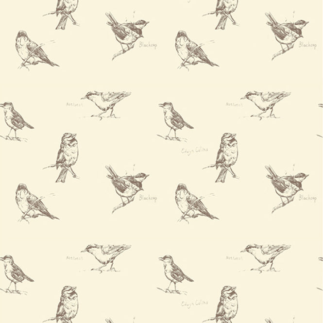 Elli Popp / Blackcap / ECP105-02 pearl