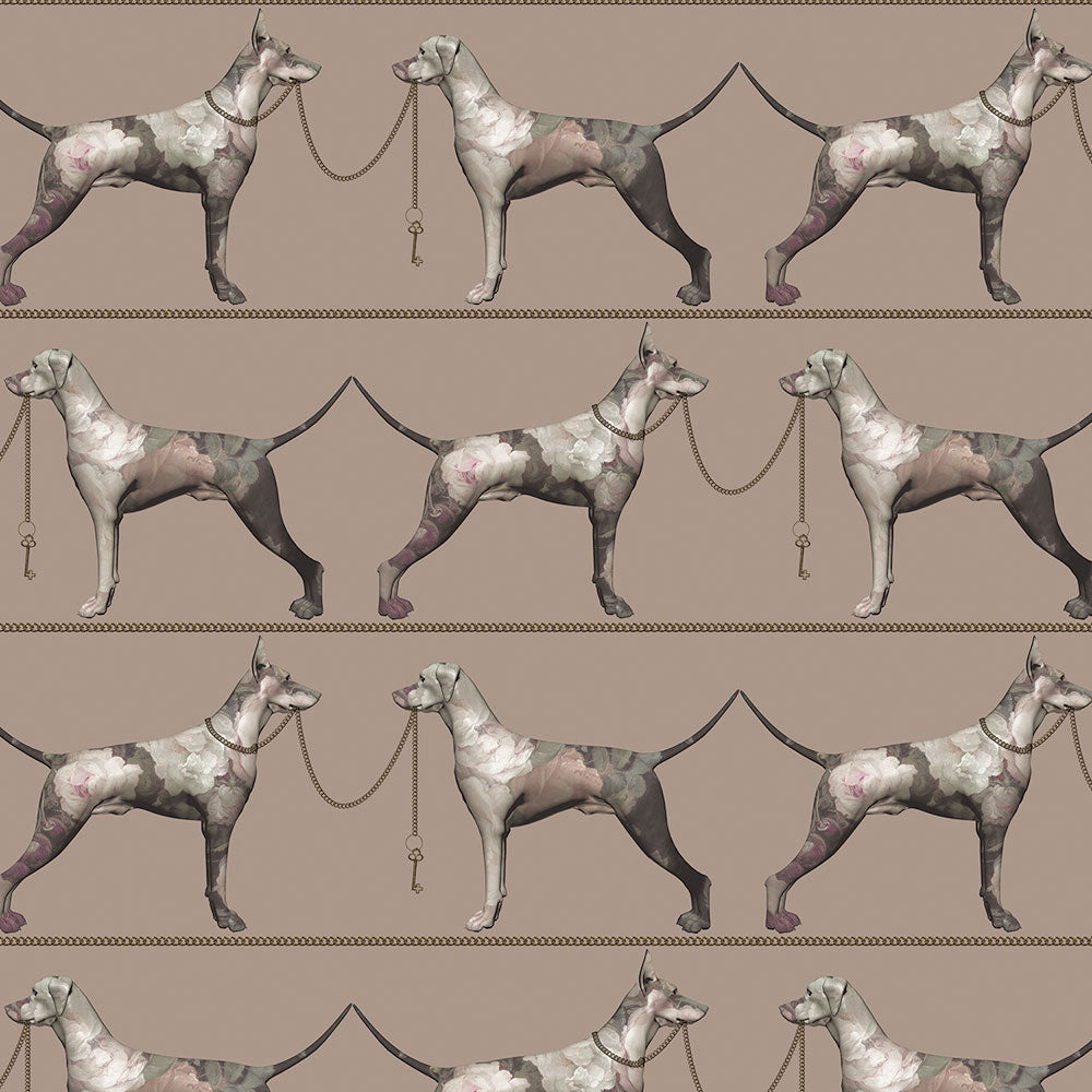 Zoom