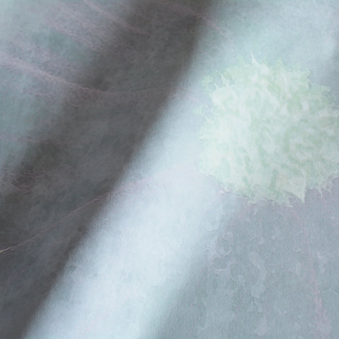 FEATHR / BOOK04 / WINDERMERE BLOOM Original FE08301