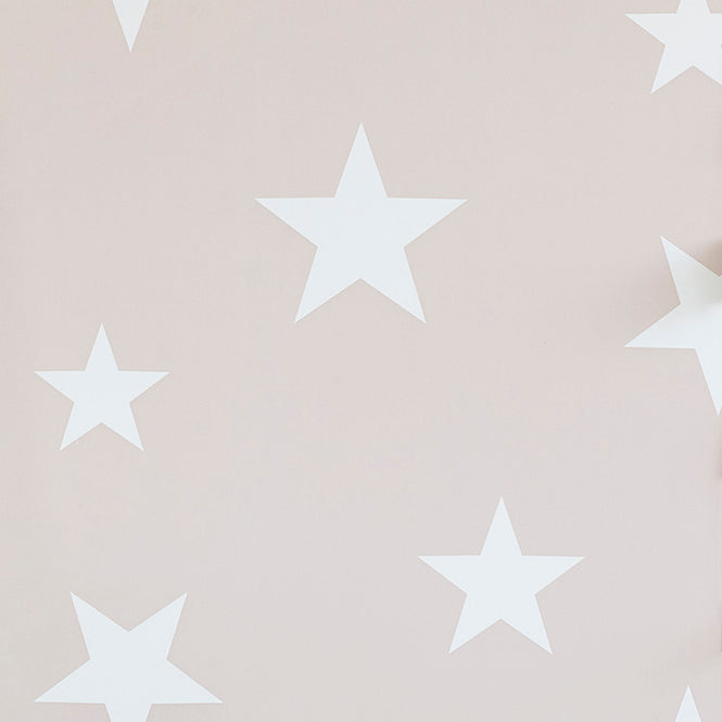 【限定数】HIBOU HOME / Stars HH00801
