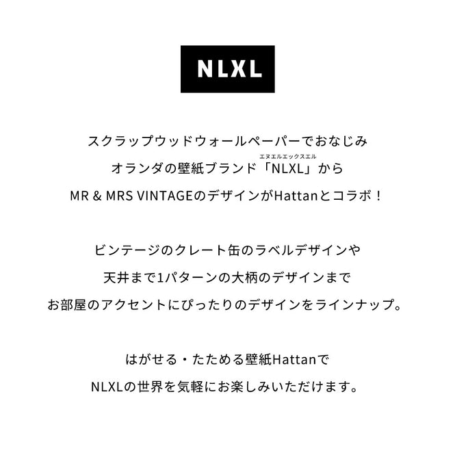 はがせる 壁紙 【Hattan Pattern】NLXL Paradis Noir Bset HRMRV-01B(6枚セット)