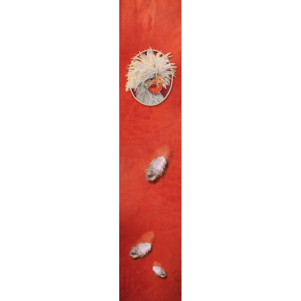 Zoom