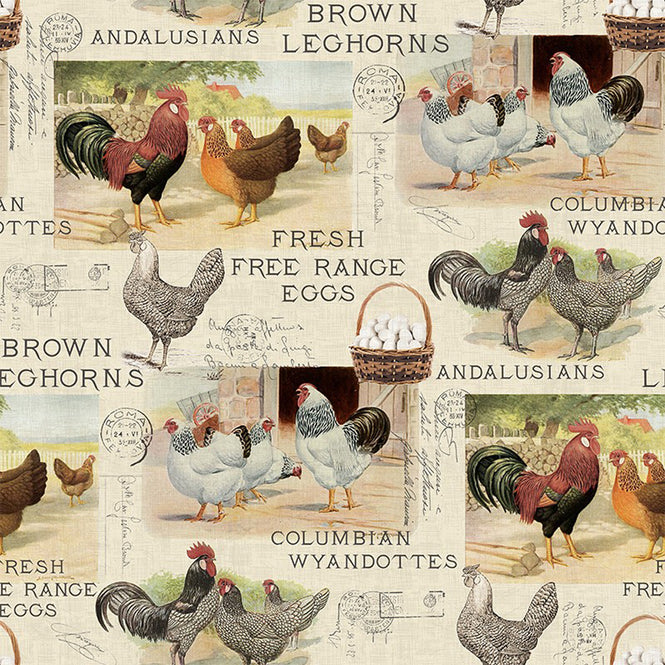 Vilber / KITCHEN&DELICIOUS- FARM / CHICKEN 3084 W-02