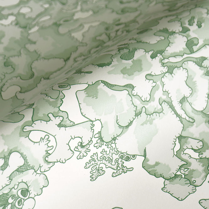 Abigail Edwards / Lichen Wallpaper Seaweed