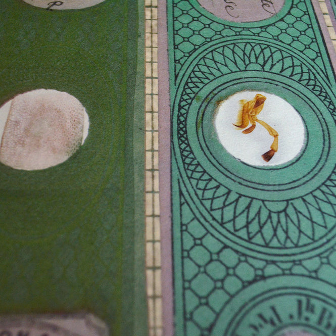 【切売m単位】NLXL LAB / MICROSCOPIC SLIDES / MR & MRS VINTAGE / MRV-10