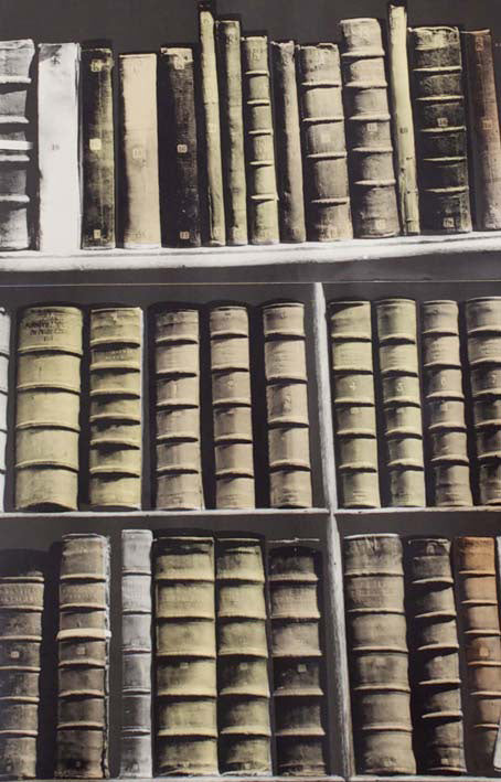 Deborah Bowness / The Artist Collection / New Antique Books Brown