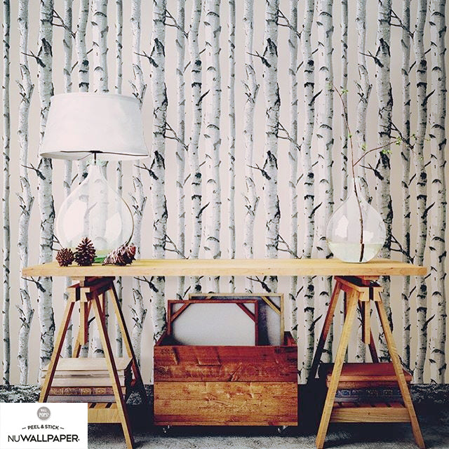 はがせる シール 壁紙 NU WALLPAPER / Birch Tree Peel And Stick Wallpaper / NU1650(NU3128)