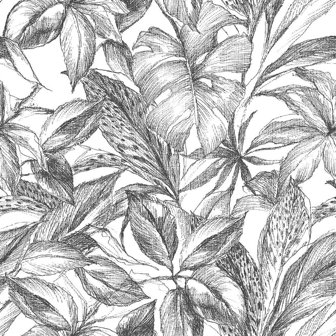 【予約受付】はがせる シール 壁紙 NU WALLPAPER / Black Canopy Peel and Stick Wallpaper / NUS3498