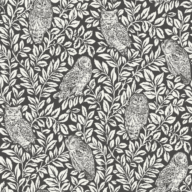 はがせる シール 壁紙 NU WALLPAPER / Charcoal Sleepy Owls Peel and Stick Wallpaper / NUS3625