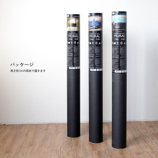 【限定数】1 Wall / XXL Wall Mural / BLUE WORLD MAP
