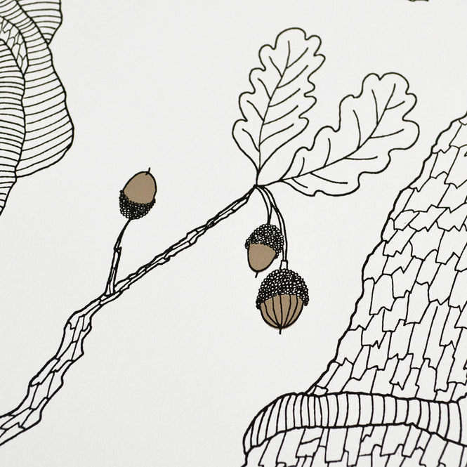 Abigail Edwards / Oak Tree White