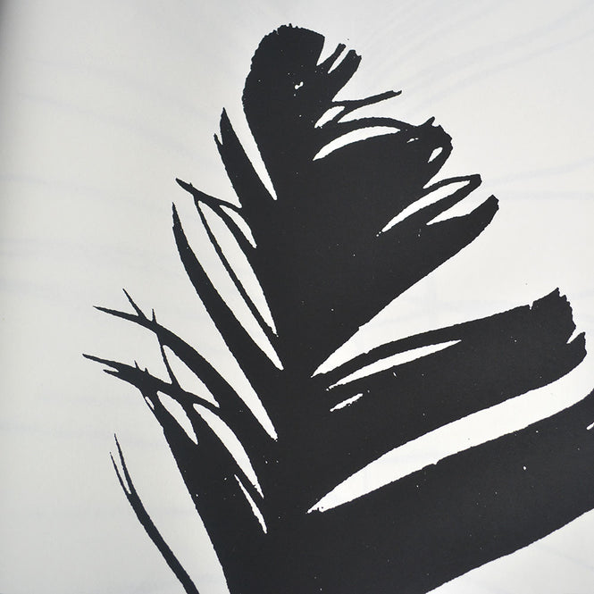 Tracy Kendall / Open Feather