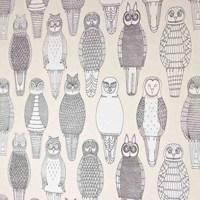 Abigail Edwards / Owls of the British Isles