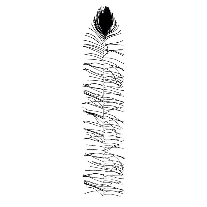 Tracy Kendall / Peacock Feather