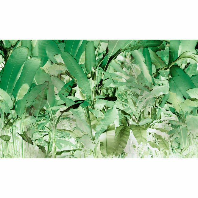 Elli Popp / Wise pond - A frog jumps-Green / PM164-07 mica